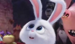 爱宠大机密在线观看,揭秘宠物世界的欢乐冒险